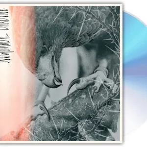 Nocturnal Birding (CD) Low Price