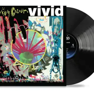 Direct From Factory Vivid
