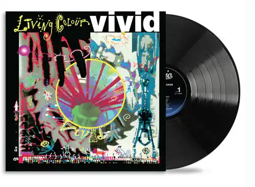 Direct From Factory Vivid