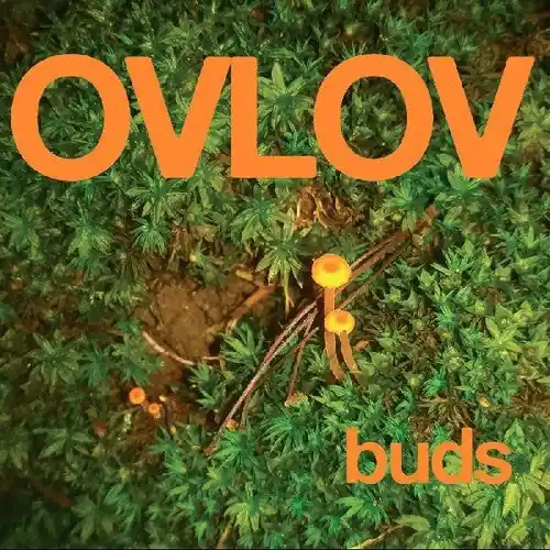 Handmade Buds (Green Vinyl)