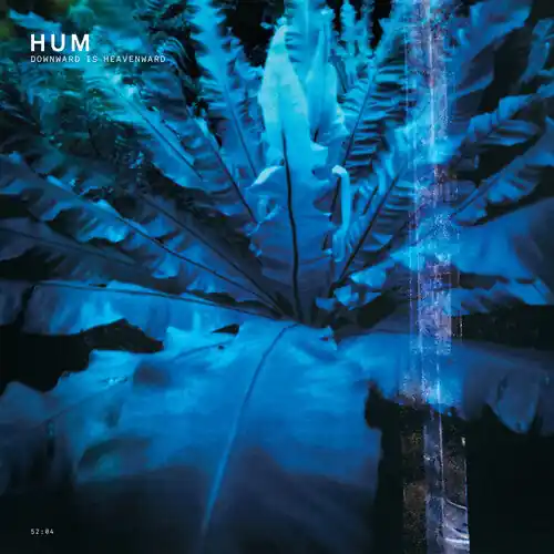 Trending Downward Is Heavenward (180g 2LP)