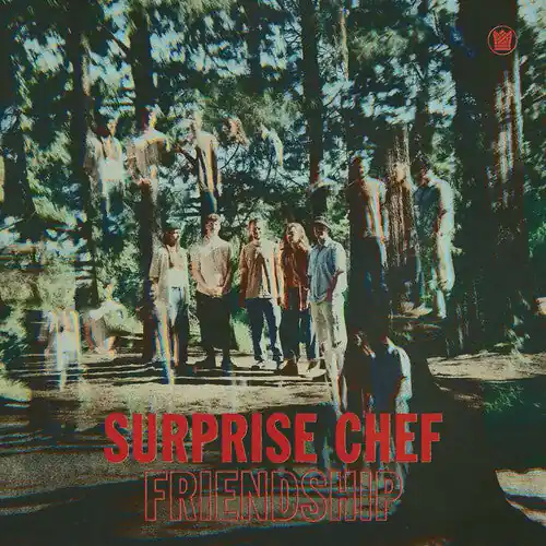 Friendship EP (Ltd Indie Exclusive Sky Blue Vinyl) Secure Checkout