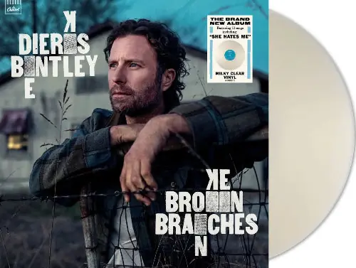 Affordable Broken Branches (Indie Exclusive Milky Clear Vinyl)