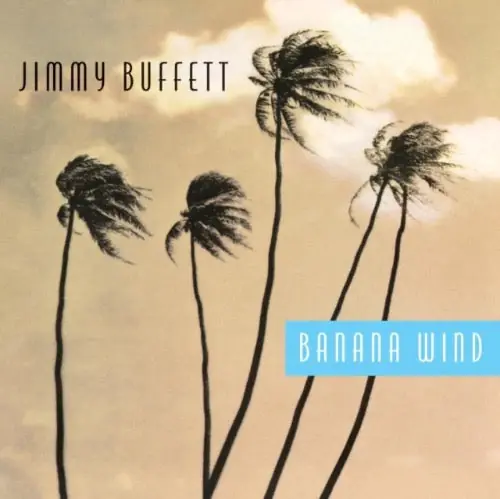Handmade Banana Wind (2LP)