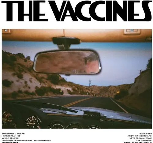 Mega Sale Pick-up Full of Pink Carnations (CD)