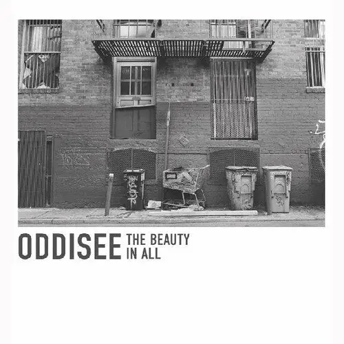 The Beauty In All (Indie Exclusive Opaque Purple Vinyl) Best Seller