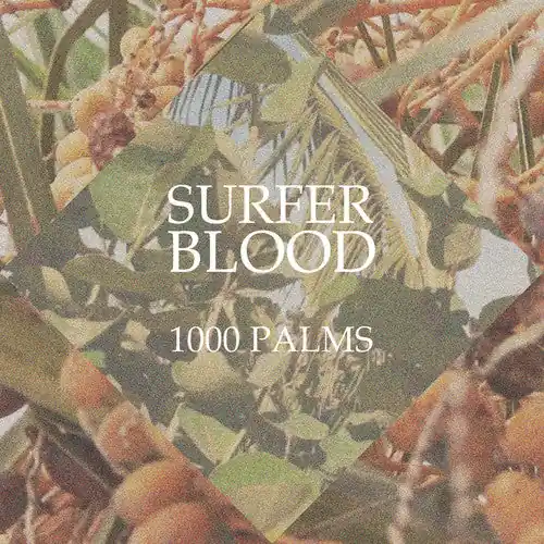 Editor’s Pick 1000 Palms