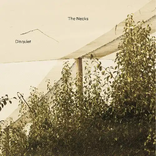 Big Sale Disquiet (CD)