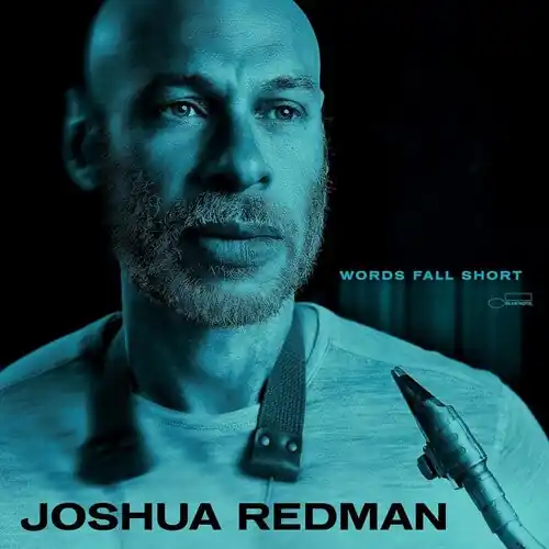 Bargain Words Fall Short (CD)