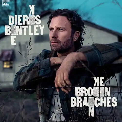 Certified Broken Branches (CD)