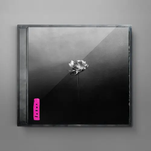 New Arrival Lotus (CD)