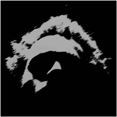 Lower (Clear Vinyl) Direct From Manufacturer