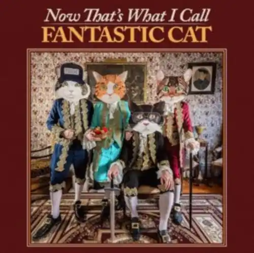 Now That’s What I Call Fantastic Cat (CD) Warranty Included
