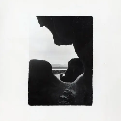 Any Light (Indie Exclusive White Vinyl) While Supplies Last