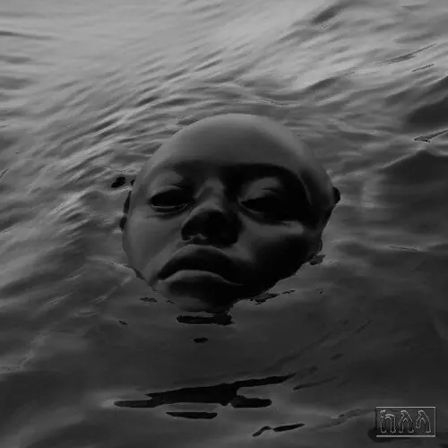 Affordable Raven (2LP Clear Vinyl)