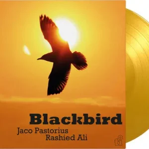 Blackbird (Ltd Edition Translucent Yellow Vinyl) Final Sale