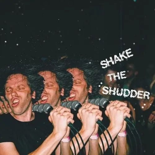 Luxury Shake the Shudder (Indie Exclusive transparent vinyl)
